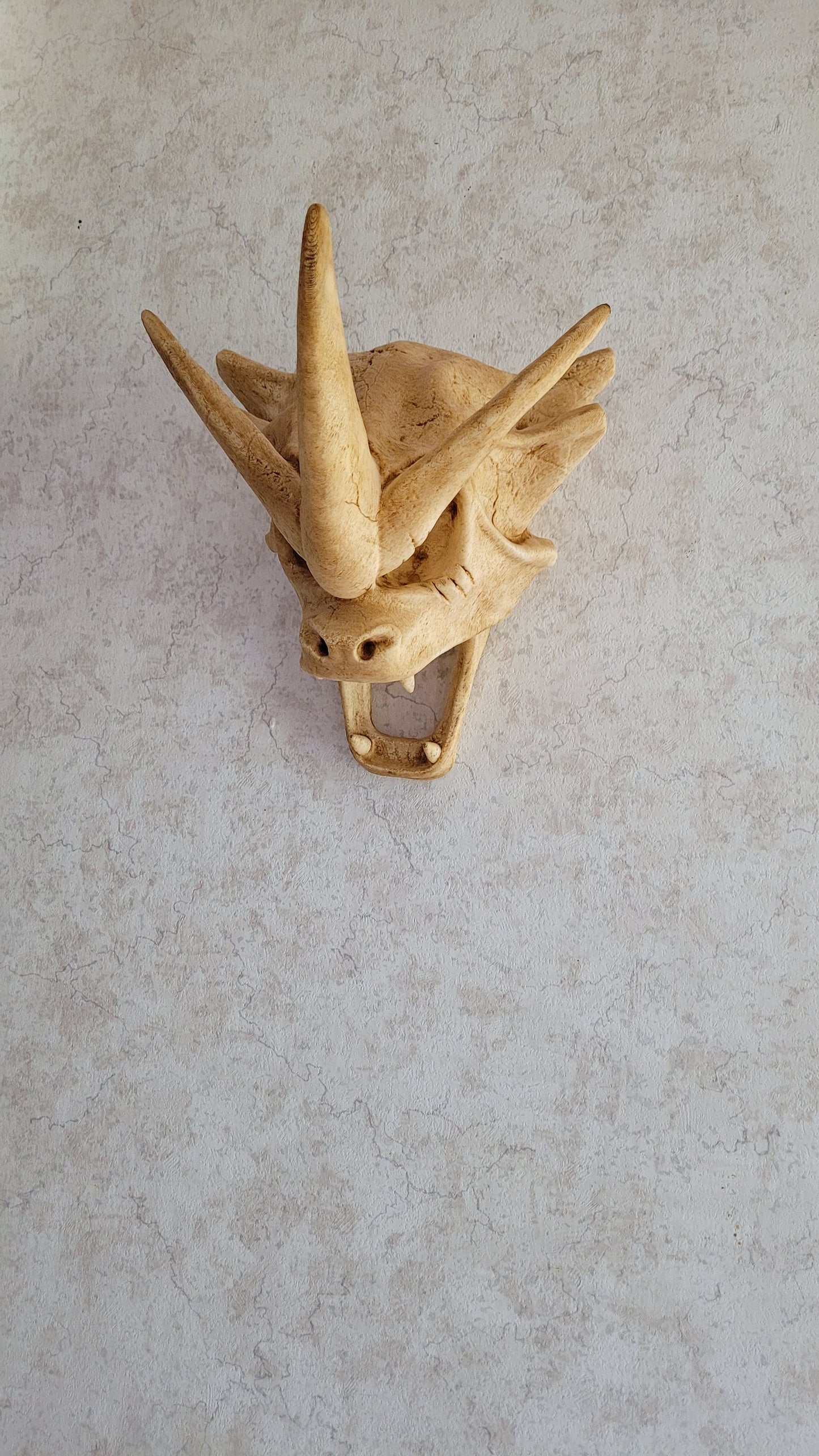 Pokemon Skulls